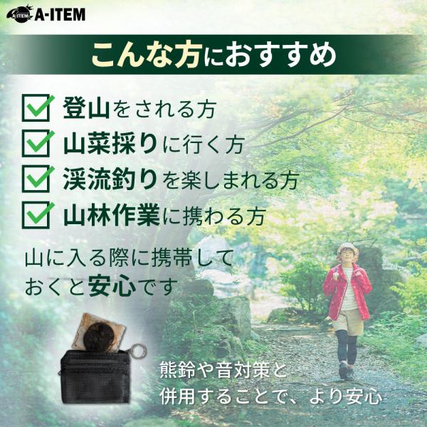 zumi_4570127588706_2_d_20260220113933