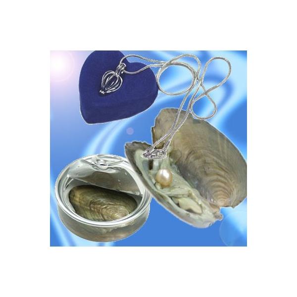 ʃp[lbNX 肢I ̃y_g 5`8mm WG[ v[g ^ lbNX p[̊ʋl ̓ ^̊ʋl