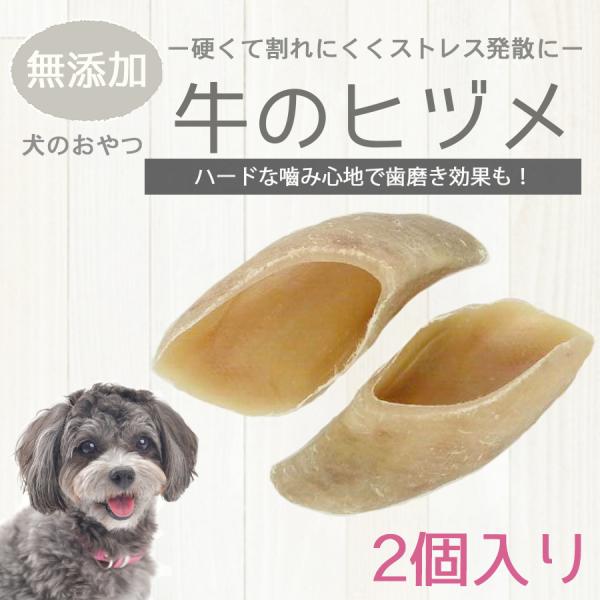zunzunpetsupply_4522084700004-2 zunzunpetsupply_4522084700004-2