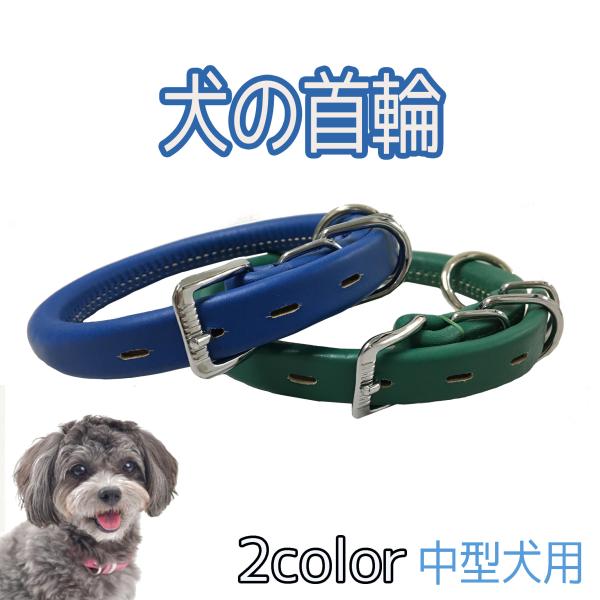【商品説明】厚革を何層も重ね、丸く削って、柔らかなクローム皮で包み、無双２本針で手縫いした、職人渾身の皮首輪です。表面を伸び縮みするグロ−ブ用クローム革で包んでいます。毛擦れが少ないので、長毛犬にも使用できます。【カラー】　グリーン・ブルー...