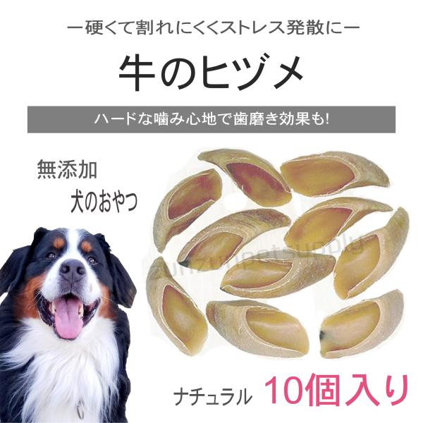 【商品説明】・なぜかどのワンちゃんも夢中になる、ＴＯＹ兼スナックの定番です。・かじりながら歯みがき効果が期待できます。・自然素材ですので、形・色・大きさにバラつきがあります。・形・色・大きさは指定できませんので、あらかじめご了承下さい。※ご...