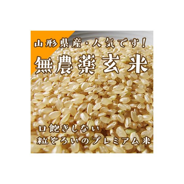残り10袋❣️無農薬新米✨令和5年8月収穫✨高知産✨玄米30kg 令和7年新米予約】無農薬玄米10kg（5kg×2袋）10月上旬予定