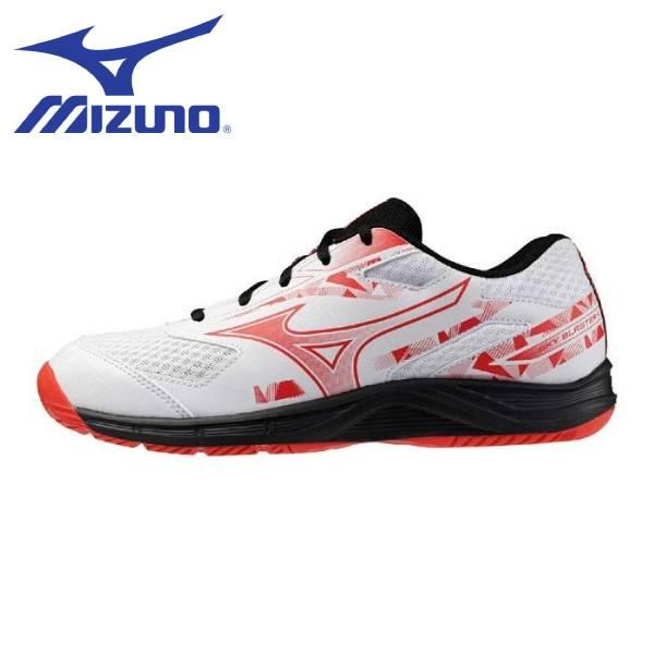 MIZUNO（ミズノ） バドミントンシューズ メンズ レディース SKY