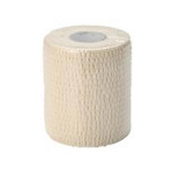 FINOA tBmA g[ e[sO yʃnfBJbgŒpLke[v S.PCgK[h 1293 WHT