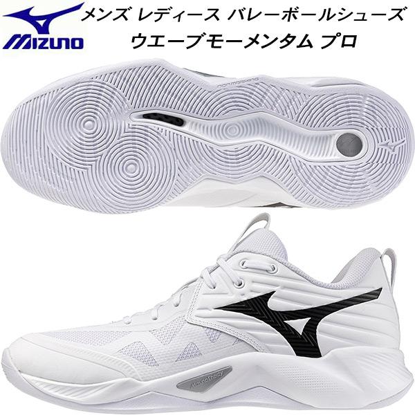 MIZUNO（ミズノ） メンズ レディース バレーボールシューズ ウエーブ