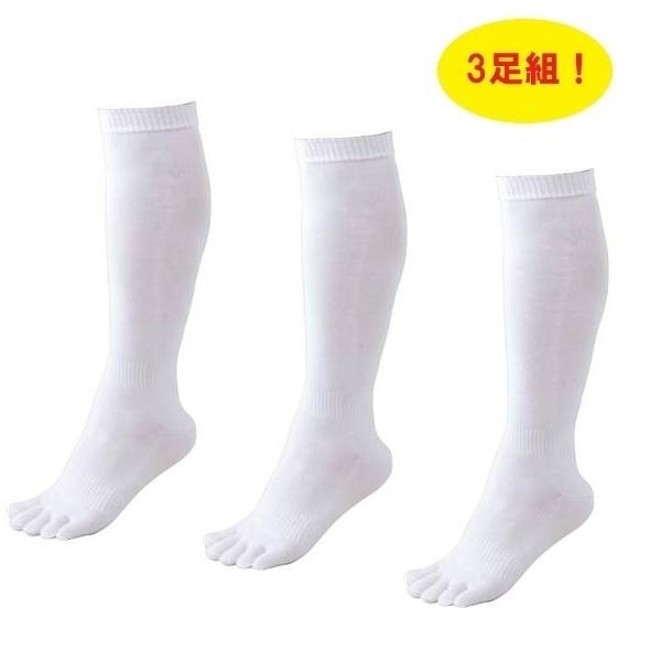 [bg ZETT [bg 싅 3g XgbLO C 3P 5{w \bNX BK035O 1100