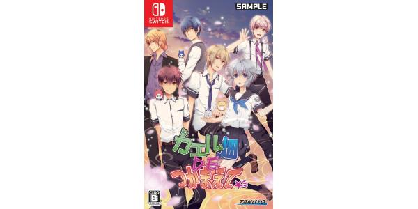 カエル畑DEつかまえてのパッケージ画像