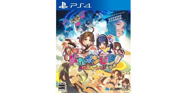 ドカポンUP! 夢幻のルーレットのパッケージ画像