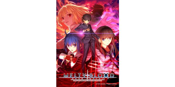 MELTY BLOOD: TYPE LUMINAのパッケージ画像
