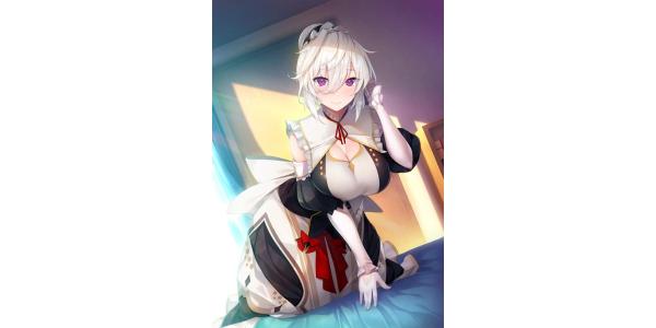 メイドさんのいる暮らしのパッケージ画像