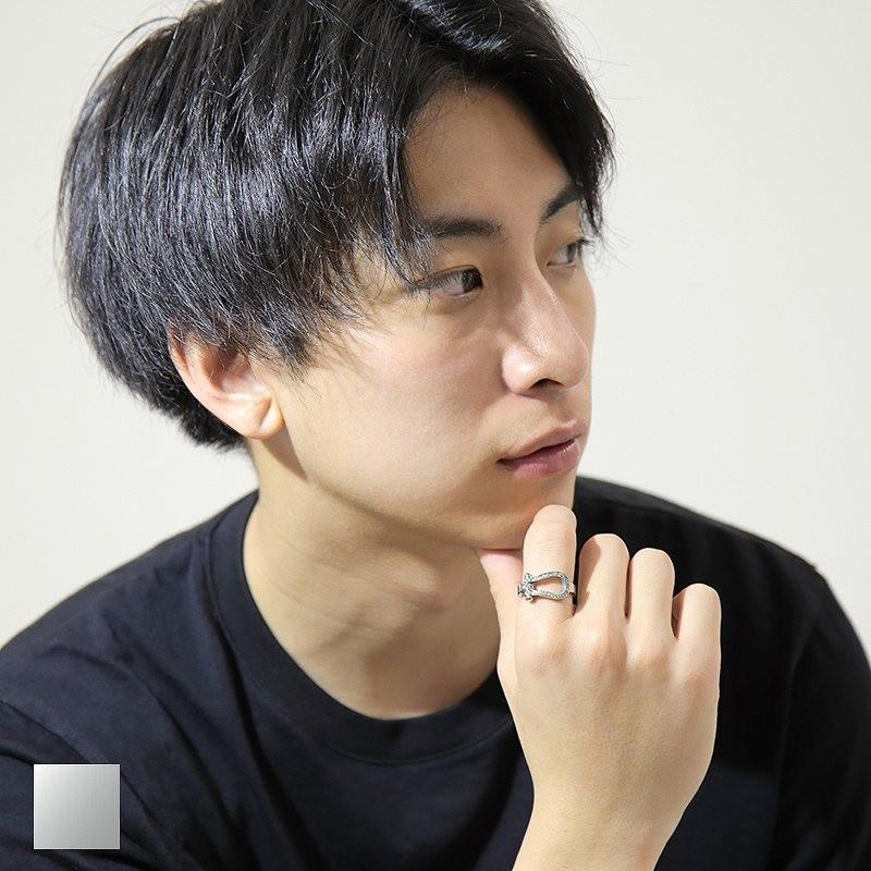指輪 レディース ステンレス リング (52) ホースシューCZ 選択可 銀色