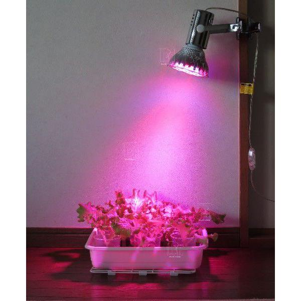 植物育成用LEDスポットライト 5個セット 24w 赤/青 植物育成LED スポットライト E26 植物育成用660nmLED使用