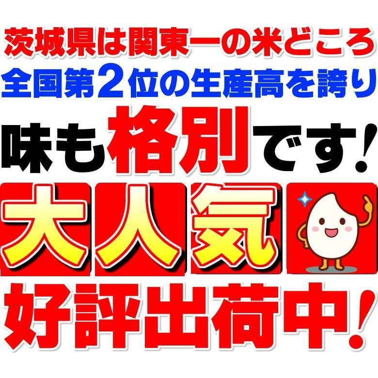 [全国一律送料無料] 白米 令和7年度 茨城県産 コシヒカリ 900g ポスト投函 精米 新米 2個以上10%引きクーポン | コシヒカリ | 01