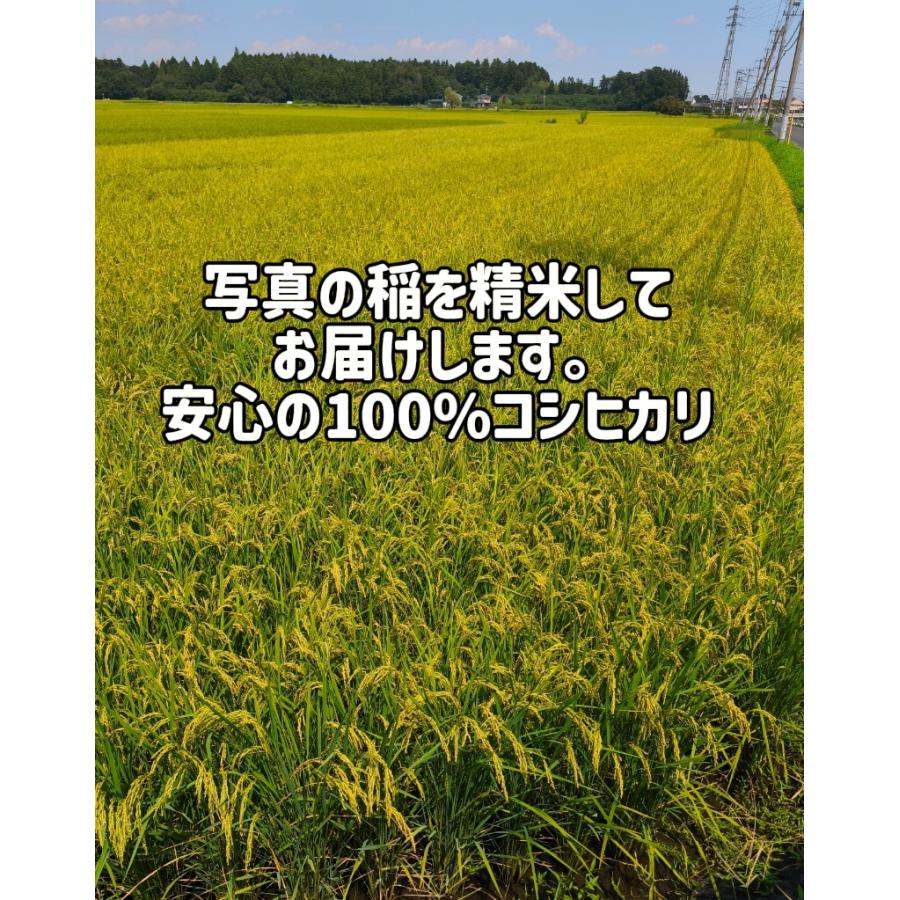 [全国一律送料無料] 白米 令和7年度 茨城県産 コシヒカリ 900g ポスト投函 精米 新米 2個以上10%引きクーポン | コシヒカリ | 02