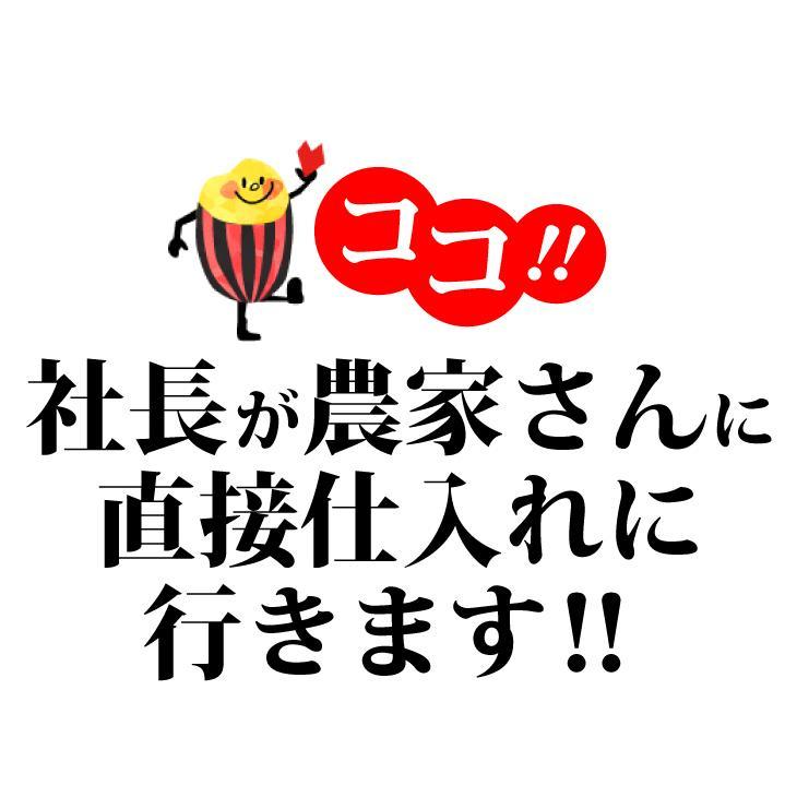 [全国一律送料無料] 白米 令和7年度 茨城県産 コシヒカリ 900g ポスト投函 精米 新米 2個以上10%引きクーポン | コシヒカリ | 03