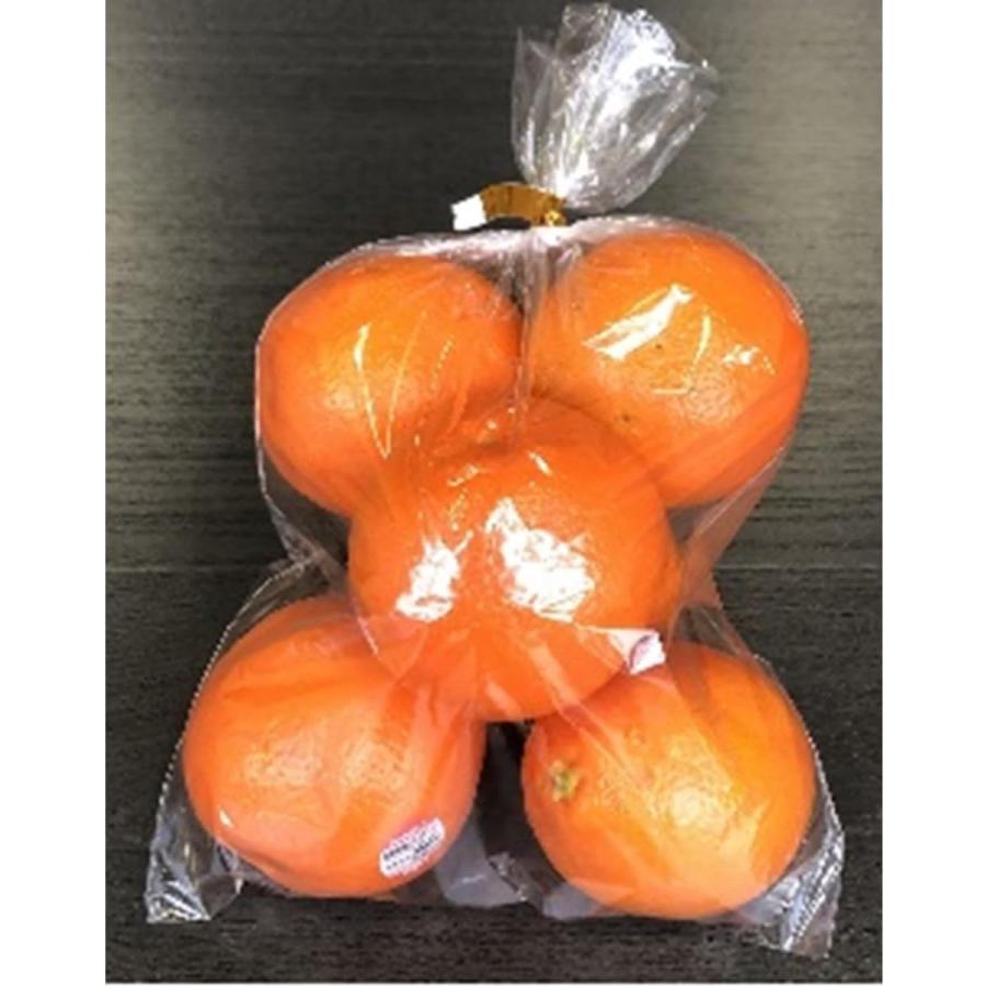 防曇袋 ボードン 10号 20μ 4穴 OPP 100枚×10袋(1000枚入) 野菜 果物
