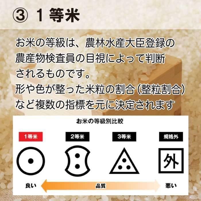 コシヒカリ [送料無料] 白米 令和7年度 茨城県産 1等米 2kg 2個以上で