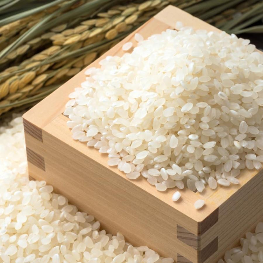 令和7年産　茨城県産　コシヒカリ　検査1等　白米　送料無料 コシヒカリ [送料無料] 白米 令和7年度 茨城県産 1等米 2kg 2個以上で