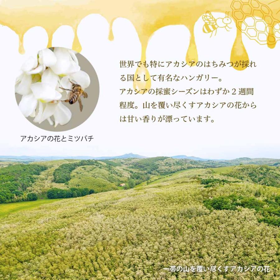 国産アカシア蜜200g ５本セット 蜜匠 国産 アカシア はちみつ | 国産はちみつ 蜜匠®️ | 国産はちみつ