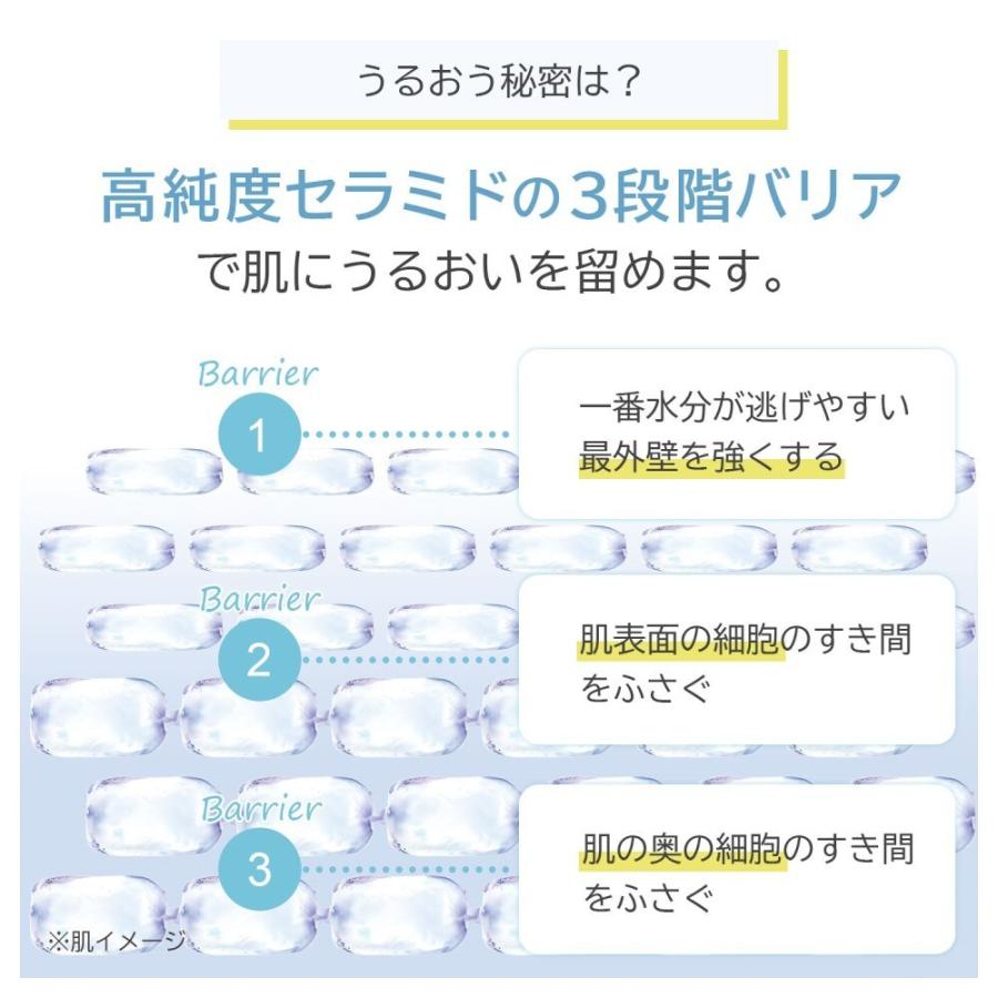 ディフェンセラ3風味（ゆず、マスカット、ピーチ）セット : マルイ