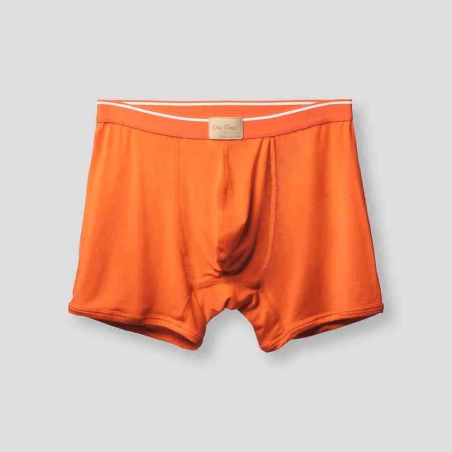 One Nova ワンノバ 3Dボクサーパンツ NovaMerino 3D Boxer Brief One Nova ワンノバ 3Dボクサーパンツ NovaMerino 3D Boxer Brief