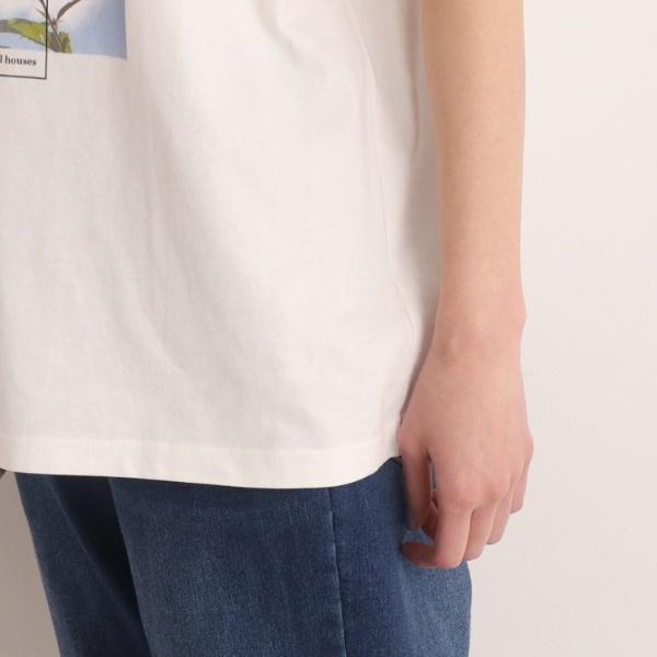 【プチプラコットン100％】選べるプリント バリエーション 大人きれい 半袖Tシャツ｜0101marui｜19