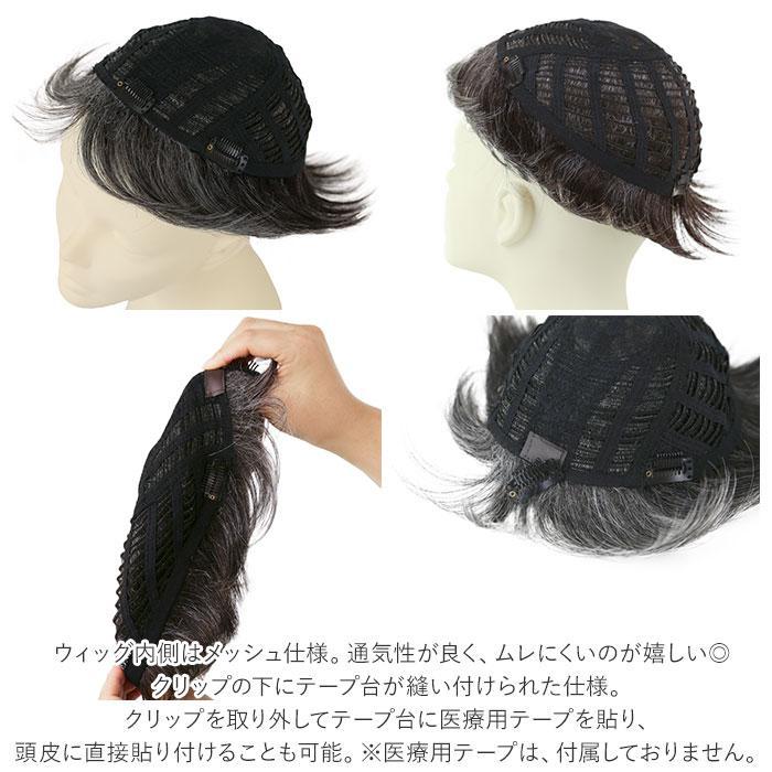 プリシラ 男性用5分ウィッグ レイヤーショート GB-22_11