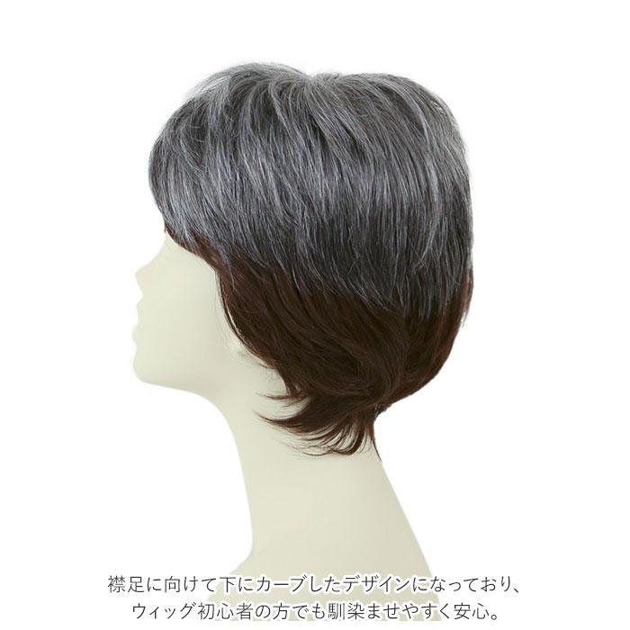 プリシラ 男性用5分ウィッグ レイヤーショート GB-22_13