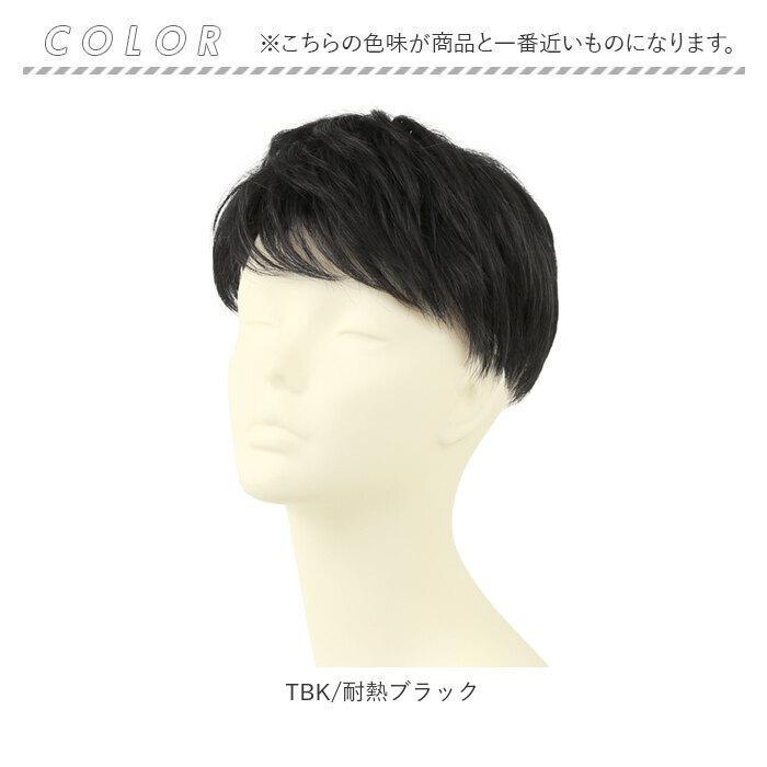 プリシラ 男性用5分ウィッグ レイヤーショート GB-22_17