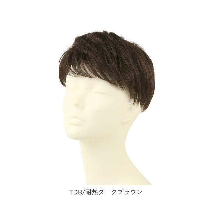 プリシラ 男性用5分ウィッグ レイヤーショート GB-22_19