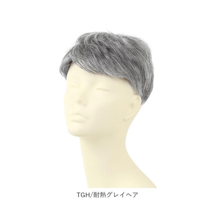 プリシラ 男性用5分ウィッグ レイヤーショート GB-22_20