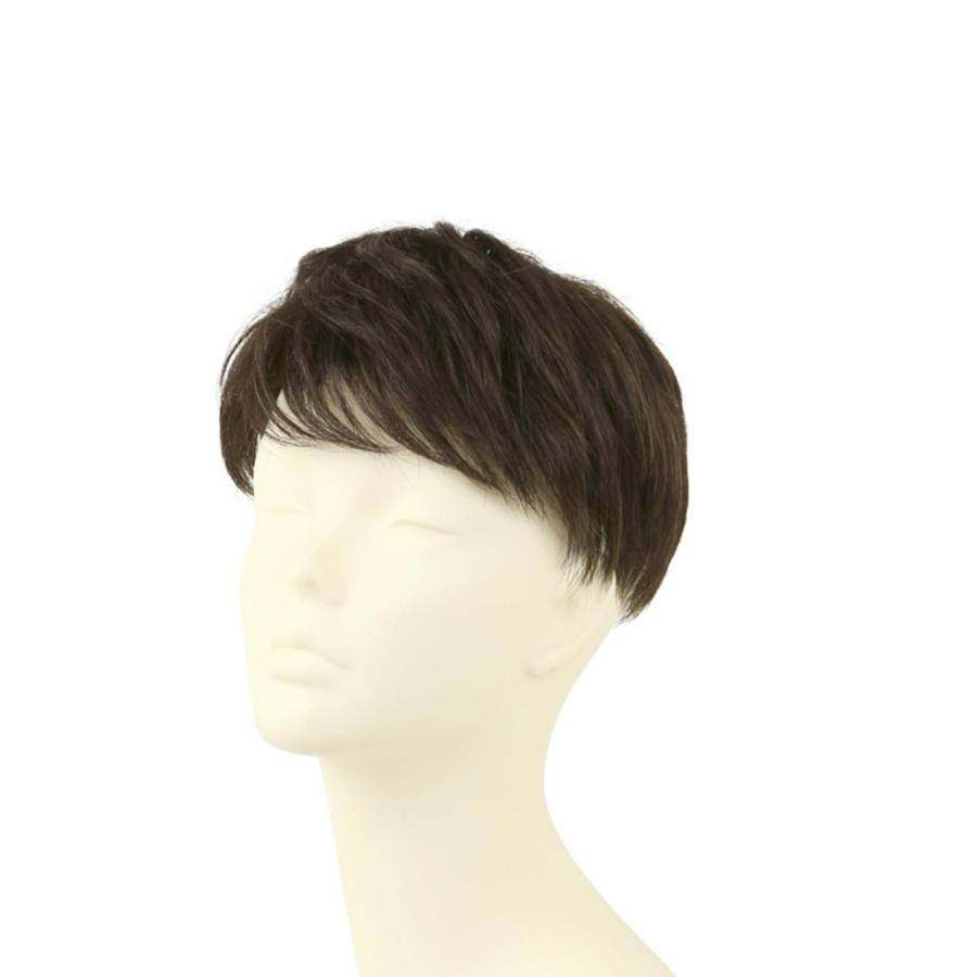 プリシラ 男性用5分ウィッグ レイヤーショート GB-22_2