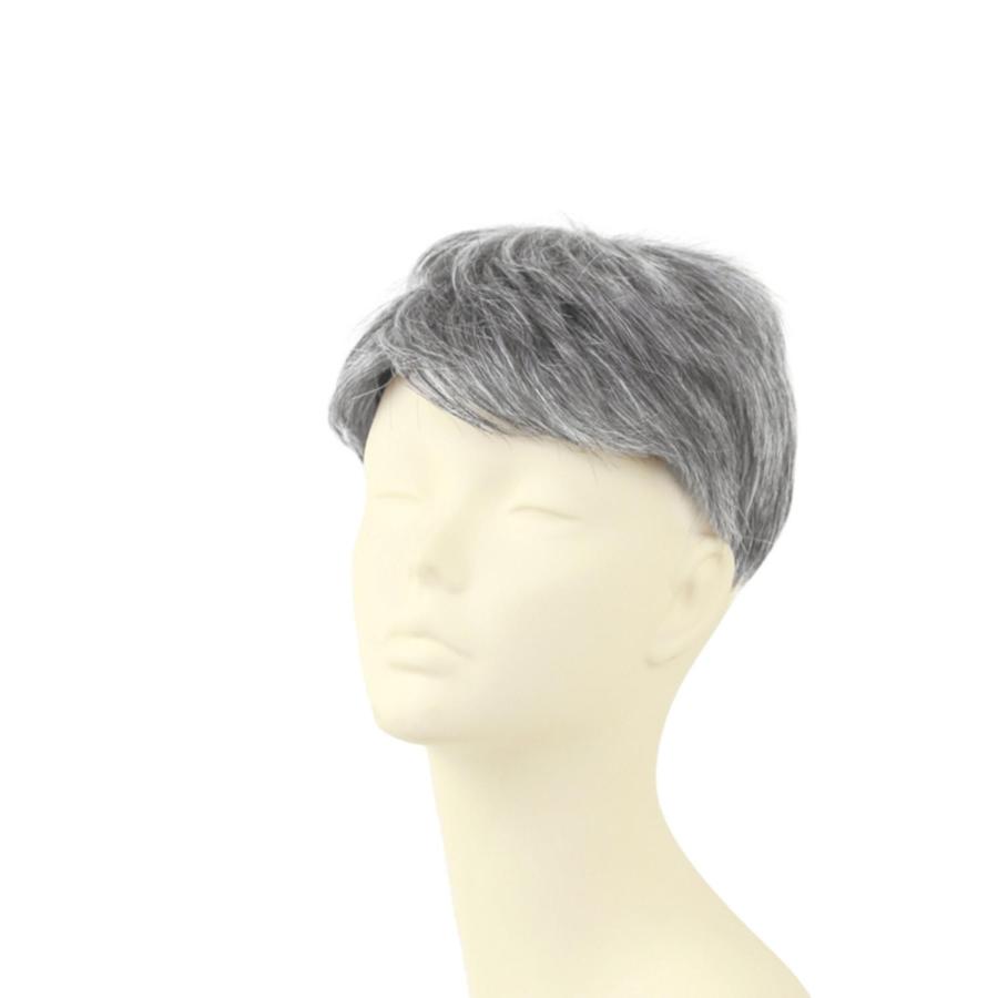 プリシラ 男性用5分ウィッグ レイヤーショート GB-22_3