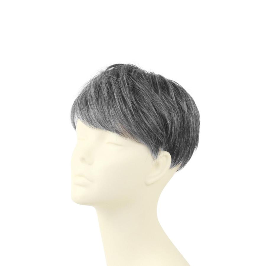プリシラ 男性用5分ウィッグ レイヤーショート GB-22_4