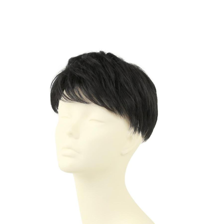 プリシラ 男性用5分ウィッグ レイヤーショート GB-22_5