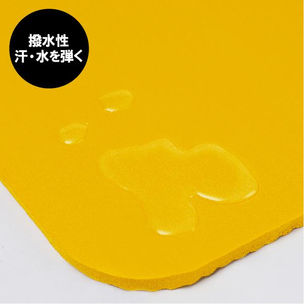 ゴールドジム・トレーニングマット YW-1 : マルイ(丸井)Yahoo!店