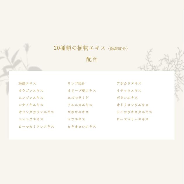 ルチアゴールド2点セット_5