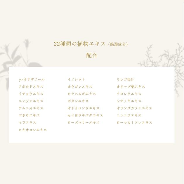 ルチアゴールド2点セット_7