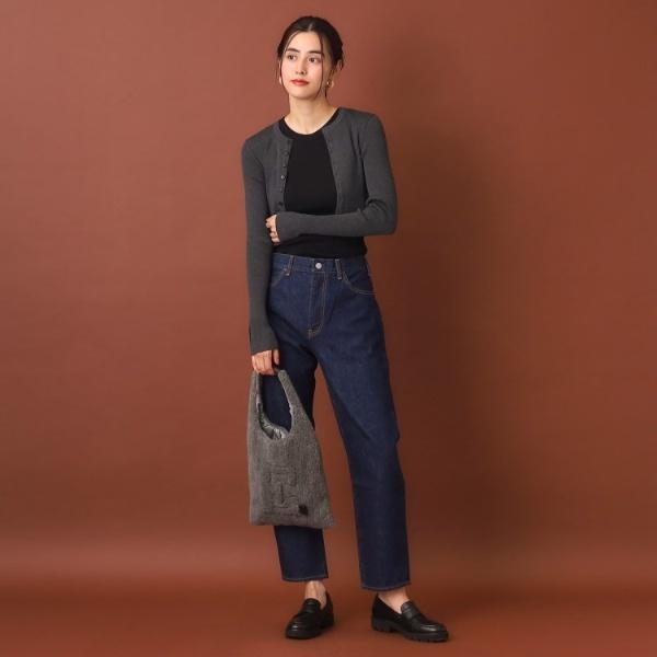 DRESSTERIOR（ドレステリア） AURALEE（オーラリー）SUPER FINE WOOL