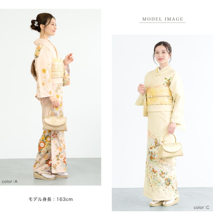 訪問着 単品の画像