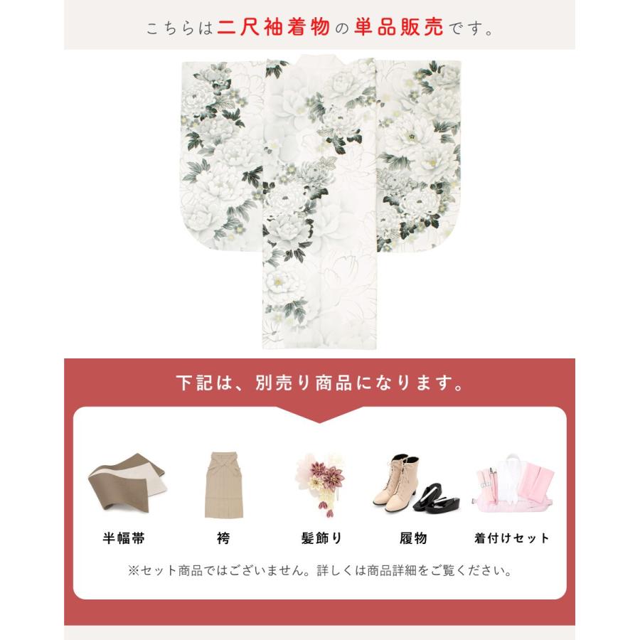 二尺袖着物 単品 レディースの画像