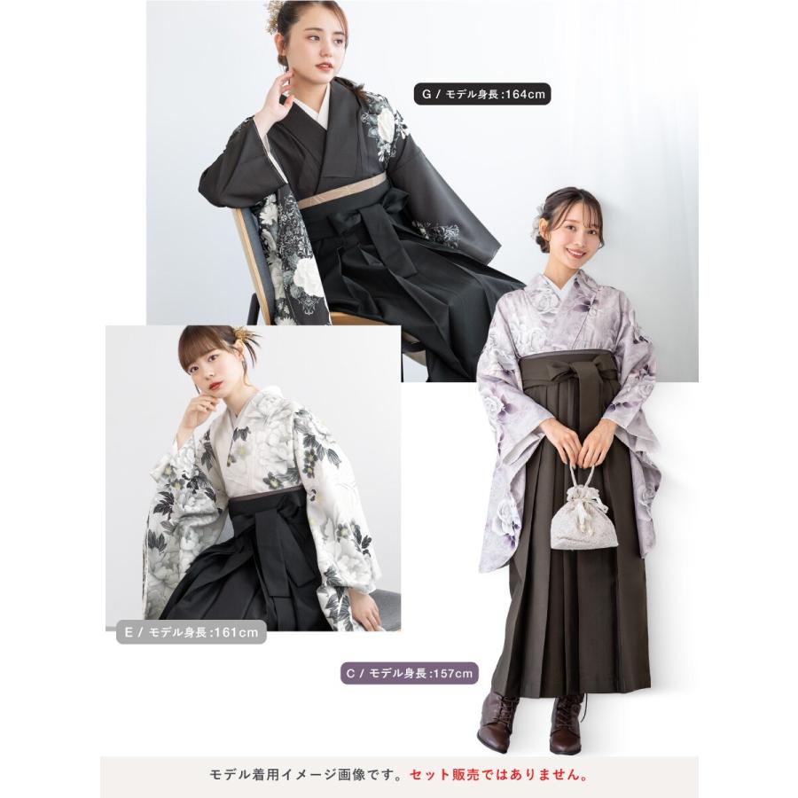 二尺袖着物 単品 レディースの画像