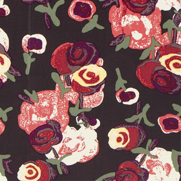 ANNA SUI（アナスイ） 【 ANNA SUI（アナ スイ）】花柄プリント雨傘(長