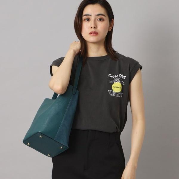 DRESSTERIOR（ドレステリア） AULENTTI（オウレンティ）【別注】ワン