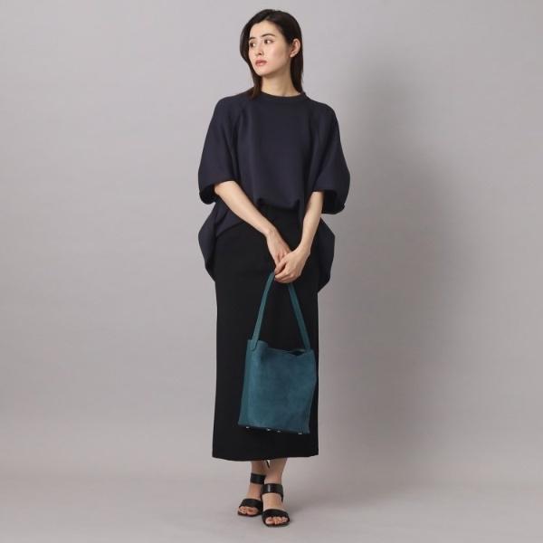 DRESSTERIOR（ドレステリア） AULENTTI（オウレンティ）【別注】ワン