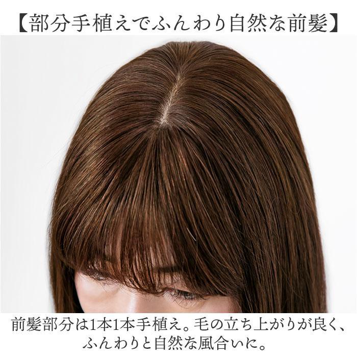 プリシラ白髪かくしウィッグ 人毛100% 分け目タイプ ST-100 白髪隠しウィッグ(人毛100％)【分け目タイプ】ST-100 | ウィッグの