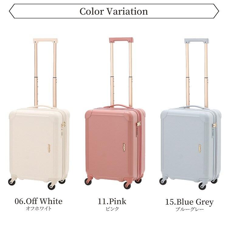 ✨Sサイズ45L✨スーツケース❤️キャリーケース キャリーバッグ スーツケース Sサイズ 40L 機内持込 TSAロック付 キャリーバッグ