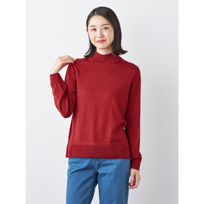 エレメント オブ シンプルライフ（element of SIMPLE LIFE）/メリノウールハイネック element of SIMPLE LIFE（エレメントオブシンプルライフ） メリノ