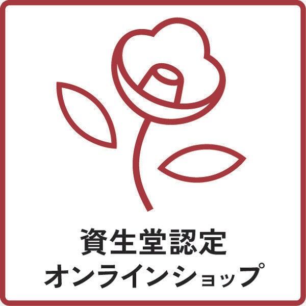 トータルＲ　ライトフリュイド　Ｎ　（レフィル）_11