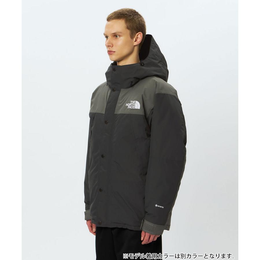 THE NORTH FACE（ザ ノースフェイス） Mountain Down Jacket